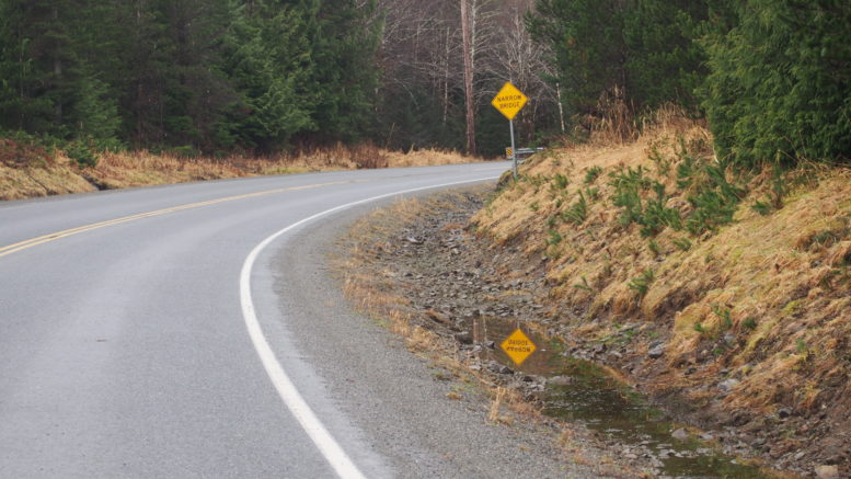 Prince of Wales Island road sign reflects back at drivers in a roadside puddle.