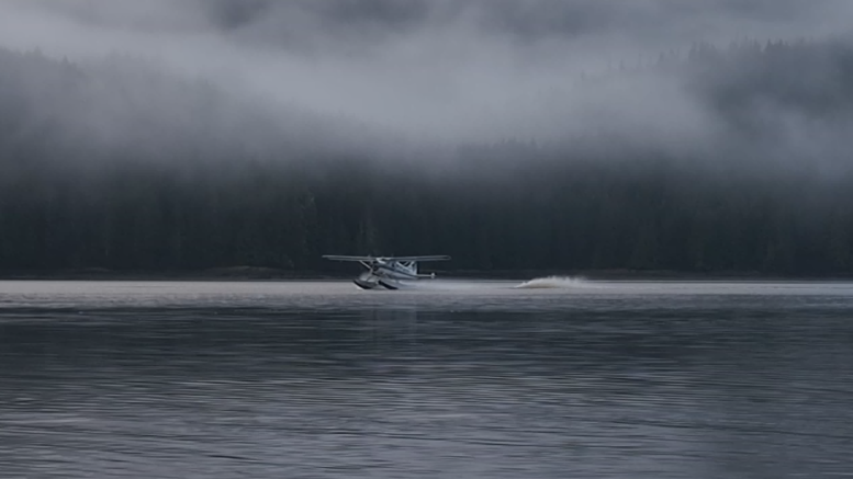 A deHavilland Beaver lands in Thorne Bay, Alaska
