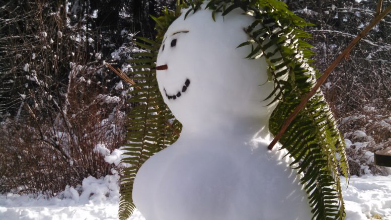 Alaska Snowman with Fern for Hair - Craig, Alaska, 2015