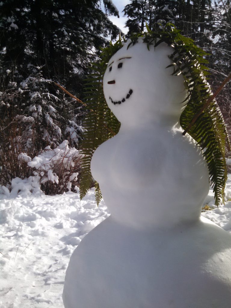Snowman with ferns for hair - Craig, Alaska