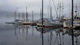 Boats on calm water at the Thorne Bay dock in Alaska
