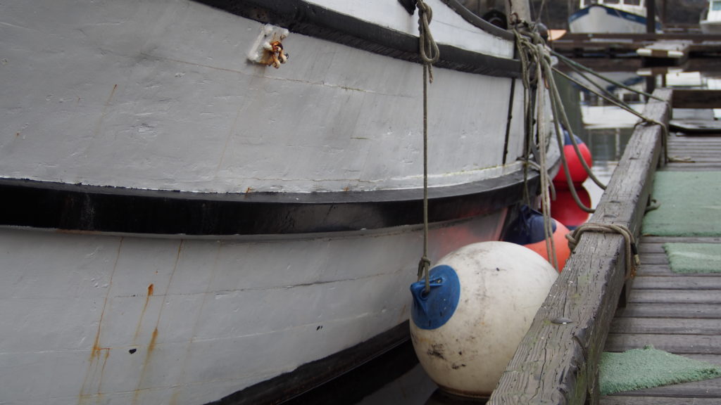 A fishing boat docked in a slip with buoys hanging by ropes to the level of the dock to protect the dock and vessel when they rub together.