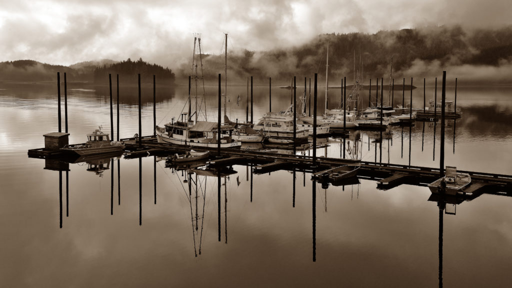 Boats at the Thorne Bay, Alaska dock from a distance